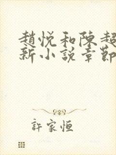 赵悦和陈超的最新小说章节更新时间