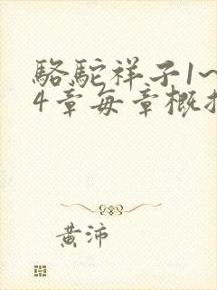 骆驼祥子1~24章每章概括