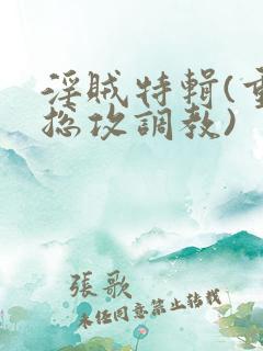 淫贼特辑(重口总攻调教)