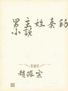 男主姓秦的现代小说