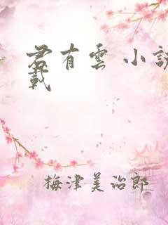 君有云 小说下载