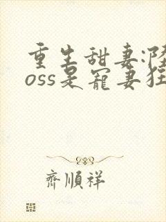 重生甜妻:陆boss是宠妻狂魔