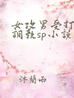 女攻男受打屁股调教sp小说