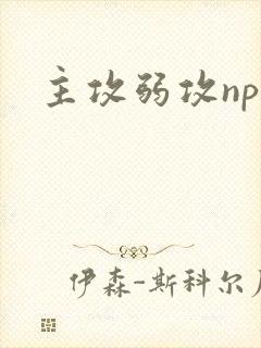 主攻弱攻np