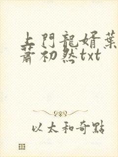 上门龙婿叶辰,萧初然txt
