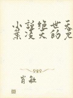 小说绝世天骄·叶凌天的免费阅读