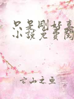 只是刚好喜欢你小说免费阅读全文