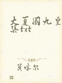 大夏国九皇子全集txt