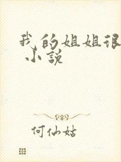 我的姐姐很弟控 小说