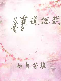 《霸道总裁轻轻爱》