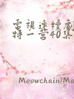 电视连续剧我的特一营40集