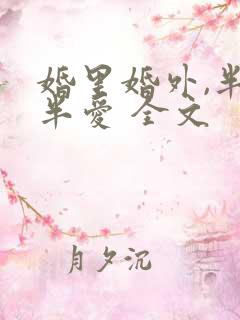 婚里婚外,半欢半爱 全文