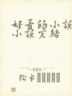 好看的小说言情小说完结