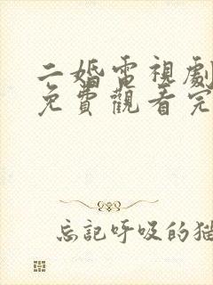 二婚电视剧全集免费观看完整版高清