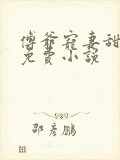 傅爷宠妻甜入骨免费小说