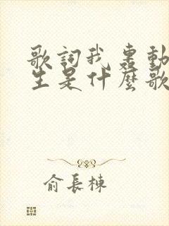 歌词我轰动了一生是什么歌