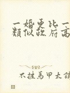 一婚更比一婚高类似政府高干