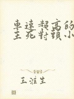 车速超高的双男主死对头小说