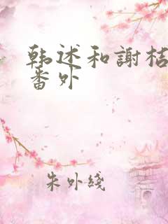 韩述和谢桔年 番外