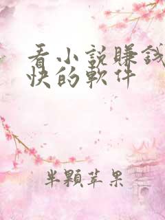 看小说赚钱比较快的软件