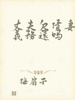 丈夫欠债妻子有义务还吗