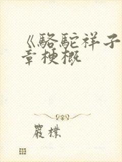 《骆驼祥子》各章梗概