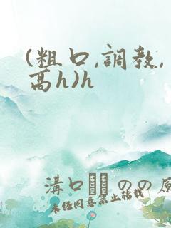 (粗口,调教,高h)h