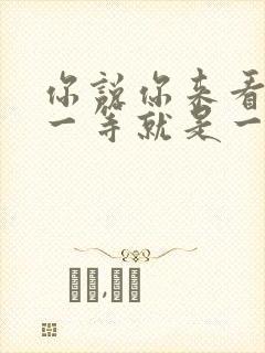 你说你来看我,一等就是一年多歌名是什么