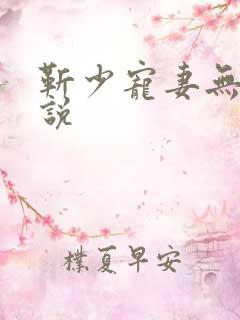 靳少宠妻无度小说