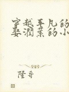 穿越平凡的世界娶润叶的小说