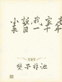 小说,我家老婆来自一千年前