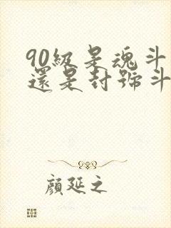 90级是魂斗罗还是封号斗罗