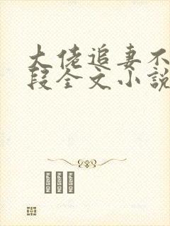 大佬追妻不择手段全文小说阅读全文