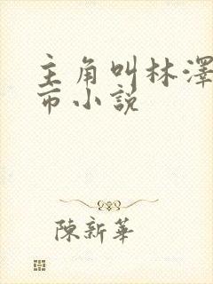 主角叫林泽的都市小说