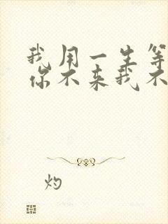 我用一生等你,你不来我不老是什么歌