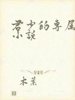 君少的专属甜妻小说