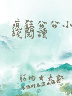 疯狂公公小说在线阅读