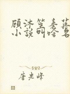 顾沐笙秦苒微的小说叫啥名字