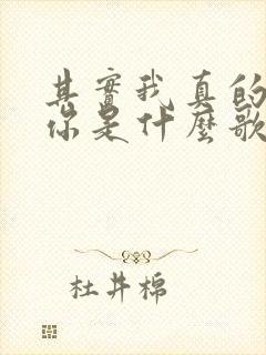 其实我真的爱着你是什么歌