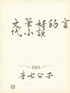 文笔好的言情现代小说