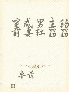 穿成男主的炮灰前妻杜窈窈