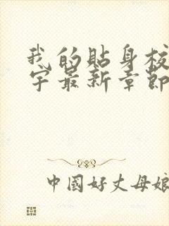 我的贴身校花唐宇最新章节