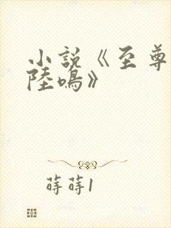 小说《至尊神殿陆鸣》