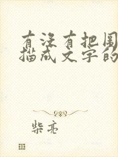 有没有把图片扫描成文字的软件