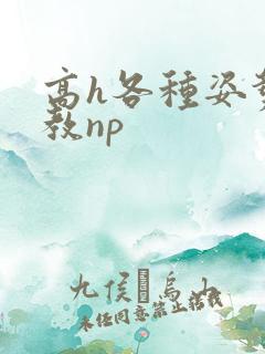 高h各种姿势调教np