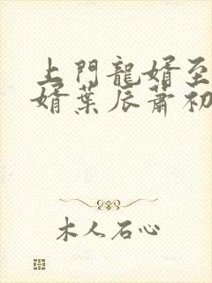 上门龙婿至尊龙婿叶辰萧初然听书