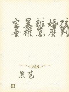 家暴离婚孩子抚养权怎么判