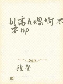 bl高h嗯啊不要np