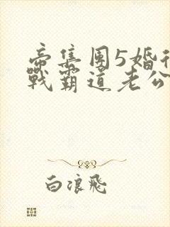 帝集团5婚后冷战霸道老公txt