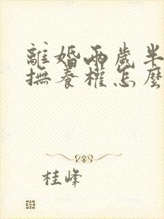 离婚两岁半小孩抚养权怎么判